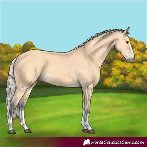 Horse Color:Silver Buckskin 