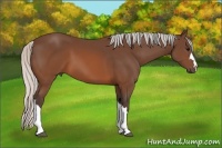 Horse Color:Silver Brown 