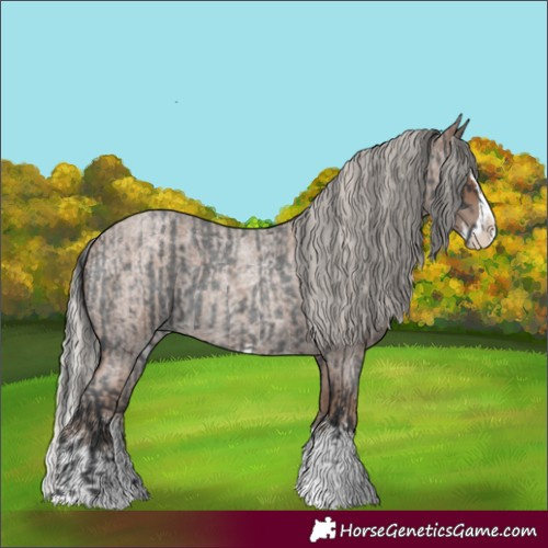 Horse Color:Blue Roan Sabino Splash and Silver Blue Roan Sabino Splash