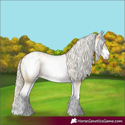 Horse Color:White Spotted Gold Cream Champagne Blanket