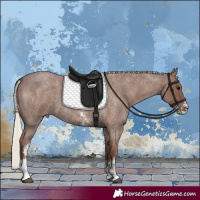 Horse Color:Silver Blue Roan Sabino 