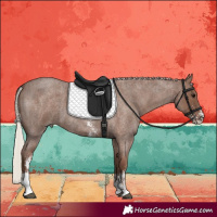 Horse Color:Silver Blue Roan Sabino 