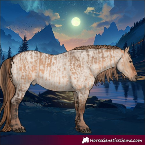 Horse Color:Bay Dun  and Liver Red Dun Roan 