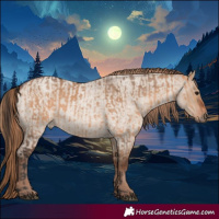 Horse Color:Bay Dun  and Liver Red Dun Roan 
