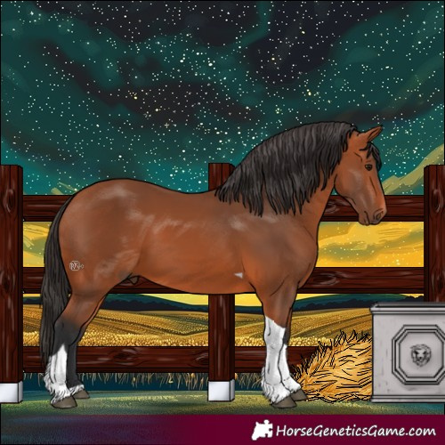 Horse Color:Bay Tobiano 
