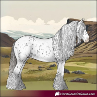 Horse Color:White Spotted Black Splash Tobiano Frame Appaloosa