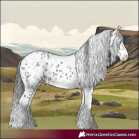 Horse Color:White Spotted Black Splash Tobiano Frame Appaloosa 