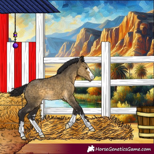 Horse Color:Buckskin Dun 