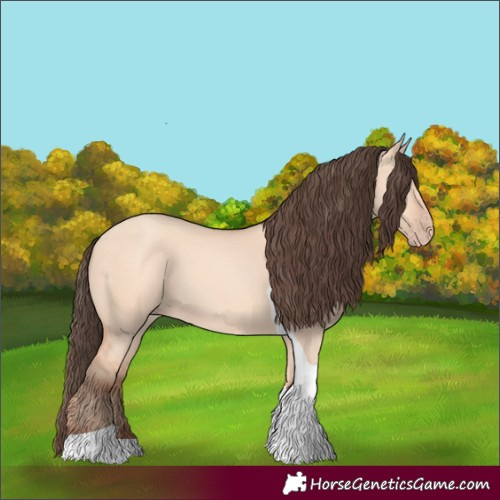 Horse Color:Amber Champagne Dun Tobiano 