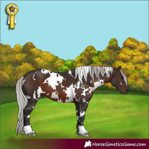Horse Color:White Spotted Silver Brown 