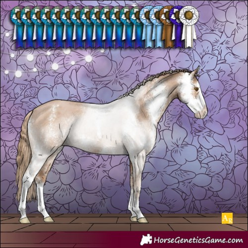 Horse Color:Black Pearl Sabino Varnish 