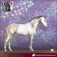 Horse Color:Black Pearl Sabino Appaloosa 