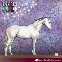 Horse Color:Black Pearl Sabino Appaloosa