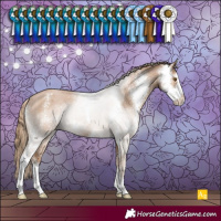 Horse Color:Black Pearl Sabino Varnish 