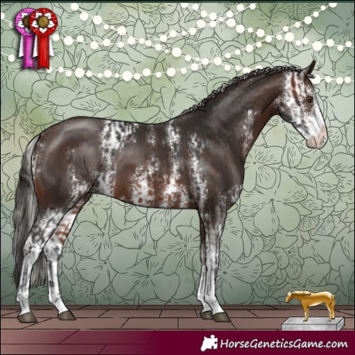 Horse Color:Brown Sabino  and Silver Brown Sabino 