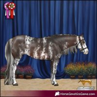 Horse Color:Brown Sabino  and Silver Brown Sabino 