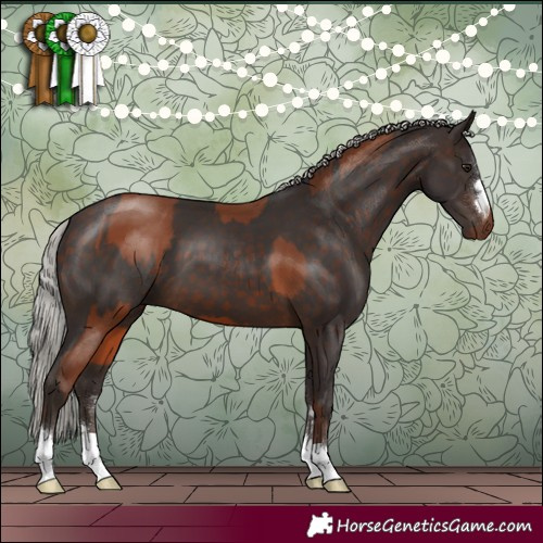 Horse Color:Silver Brown  and Silver Brown 