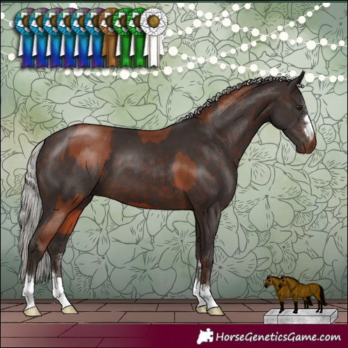 Horse Color:Silver Brown  and Silver Brown 