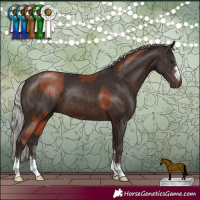 Horse Color:Silver Brown  and Silver Brown 