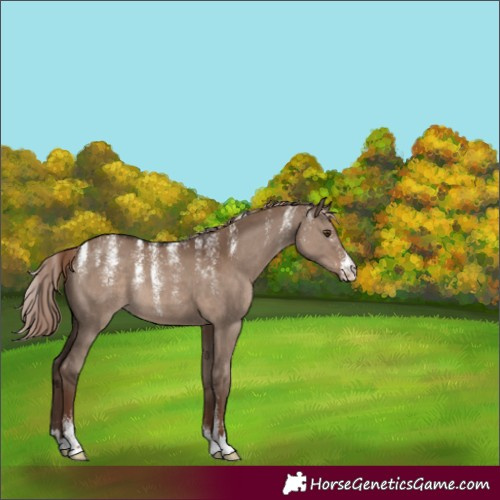 Horse Color:Powder White Liver Red Dun Rabicano 