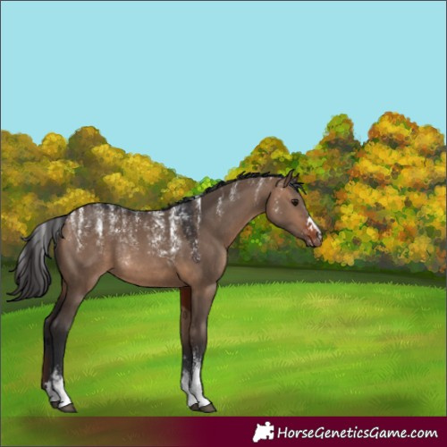 Horse Color:Powder White Brown Dun Rabicano 