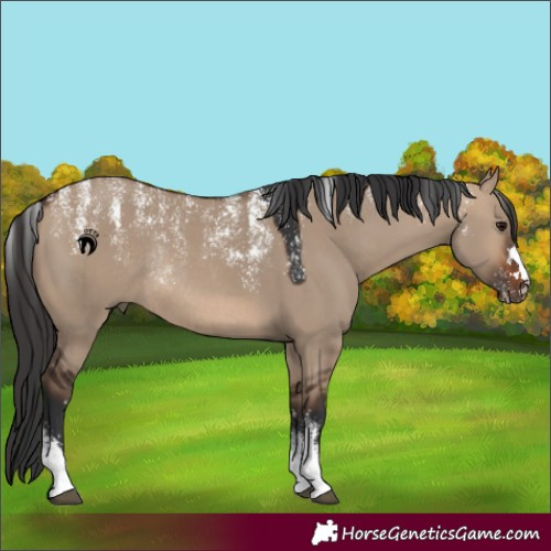 Horse Color:Powder White Brown Dun Rabicano