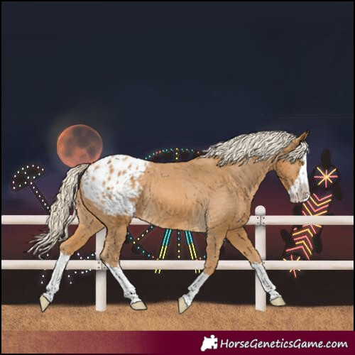 Horse Color:Palomino Splash Blanket Rabicano 