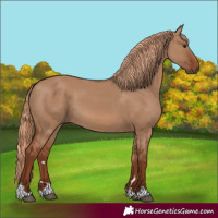 Horse Color:Red Dun 