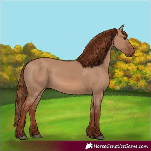Horse Color:Unknown 