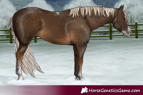 Horse Color:Chocolate Palomino Splash Tobiano 