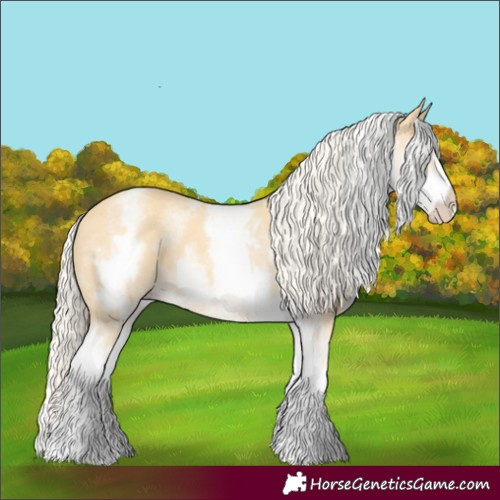 Horse Color:White Spotted Gold Cream Champagne 