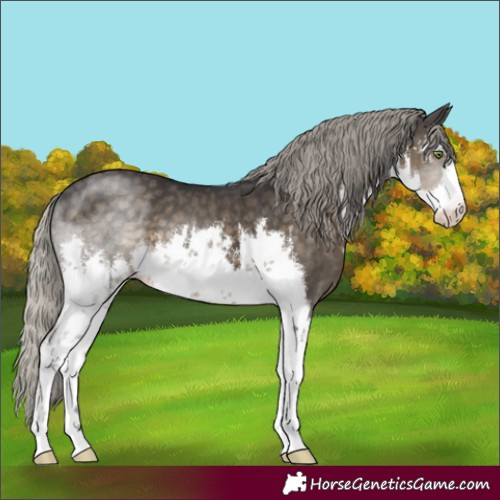 Horse Color:White Spotted Silver Smoky Black 