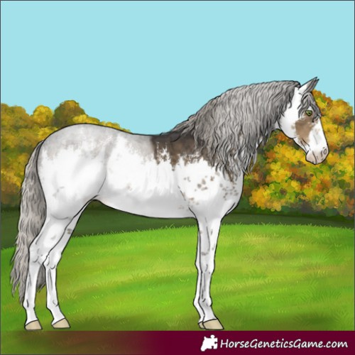 Horse Color:White Spotted Silver Smoky Black 