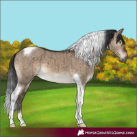 Horse Color:Brown Dun Tobiano Brindle 