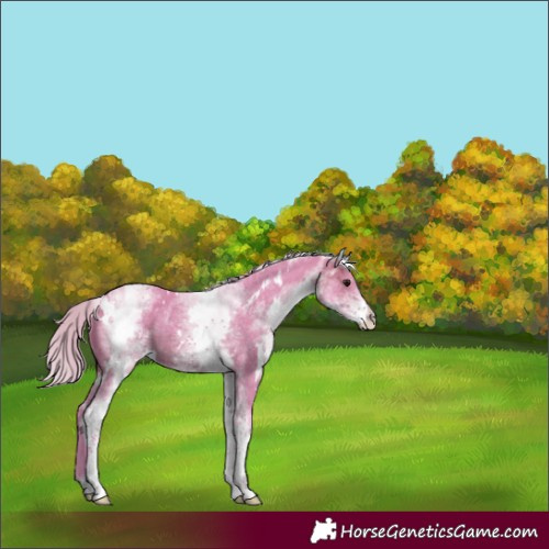 Horse Color:Watercolor White Spotted Silver Brown 