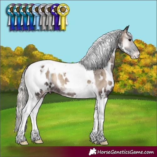 Horse Color:White Spotted Silver Blue Onyx Tobiano Near Leopard Rabicano 