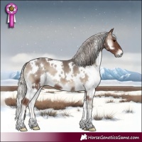 Horse Color:White Spotted Silver Blue Onyx