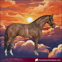 Horse Color:Bay Sabino Rabicano 