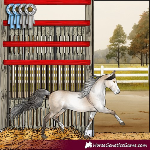 Horse Color:Gray Bay Dun Sabino Rabicano 