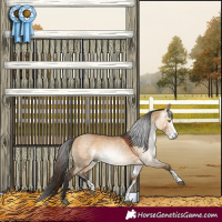 Horse Color:Gray Bay Dun Sabino Rabicano 