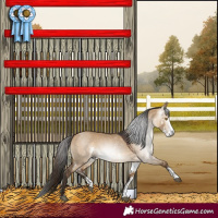 Horse Color:Gray Bay Dun Sabino Rabicano 