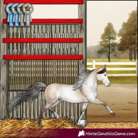 Horse Color:Gray Bay Dun Sabino Rabicano