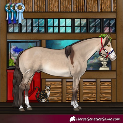 Horse Color:Bay Dun Sabino 