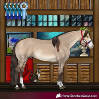 Horse Color:Bay Dun Sabino 