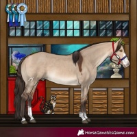 Horse Color:Bay Dun Sabino