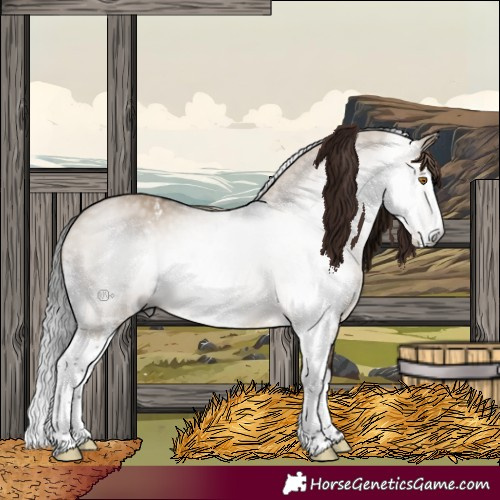 Horse Color:Gray Brown Dun Sabino Splash 