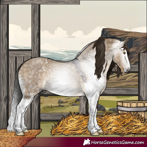 Horse Color:Gray Brown Dun Sabino Splash 