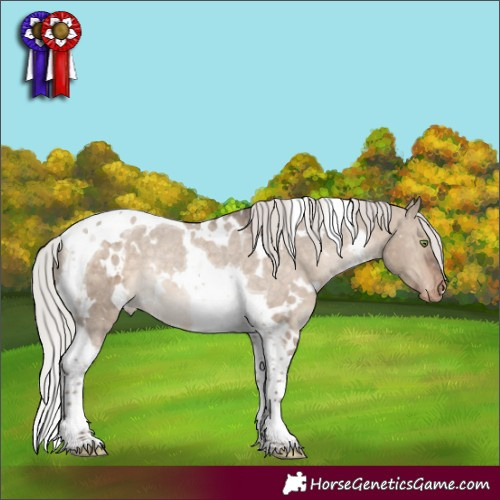 Horse Color:White Spotted Silver Bay Dun Tobiano Appaloosa Rabicano 