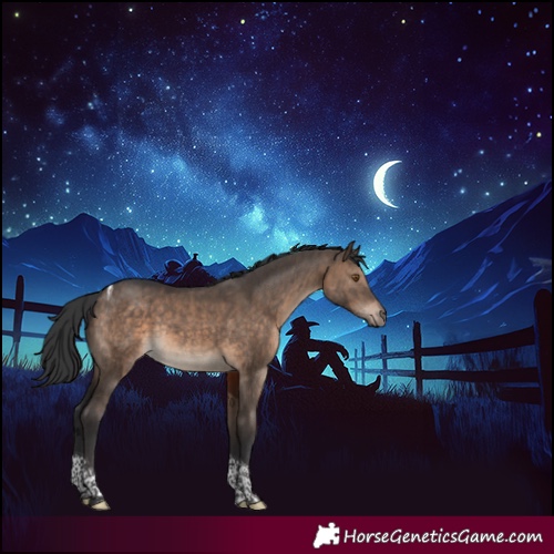 Horse Color:Brown Dun Tobiano Rabicano Brindle 