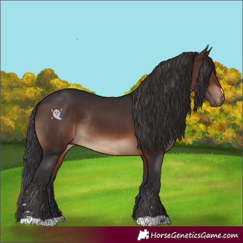 Horse Color:Brown Rabicano 